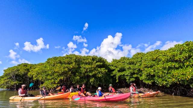 沖縄　マングローブ探検カヤックツーリング＆ローカルビーチ上陸探索ツアー